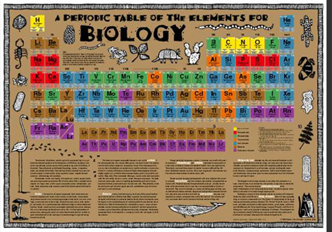 Biology Charts And Posters